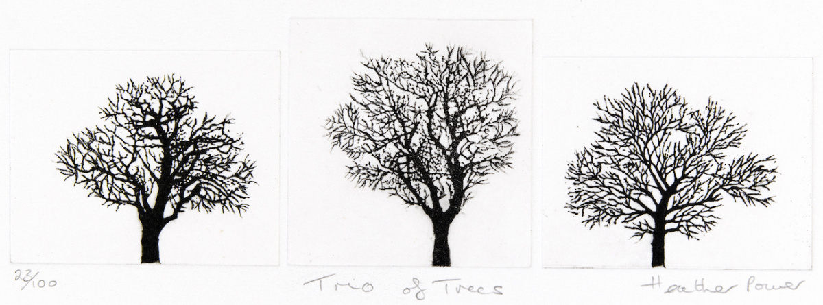 'Trio of Trees', Heather Power